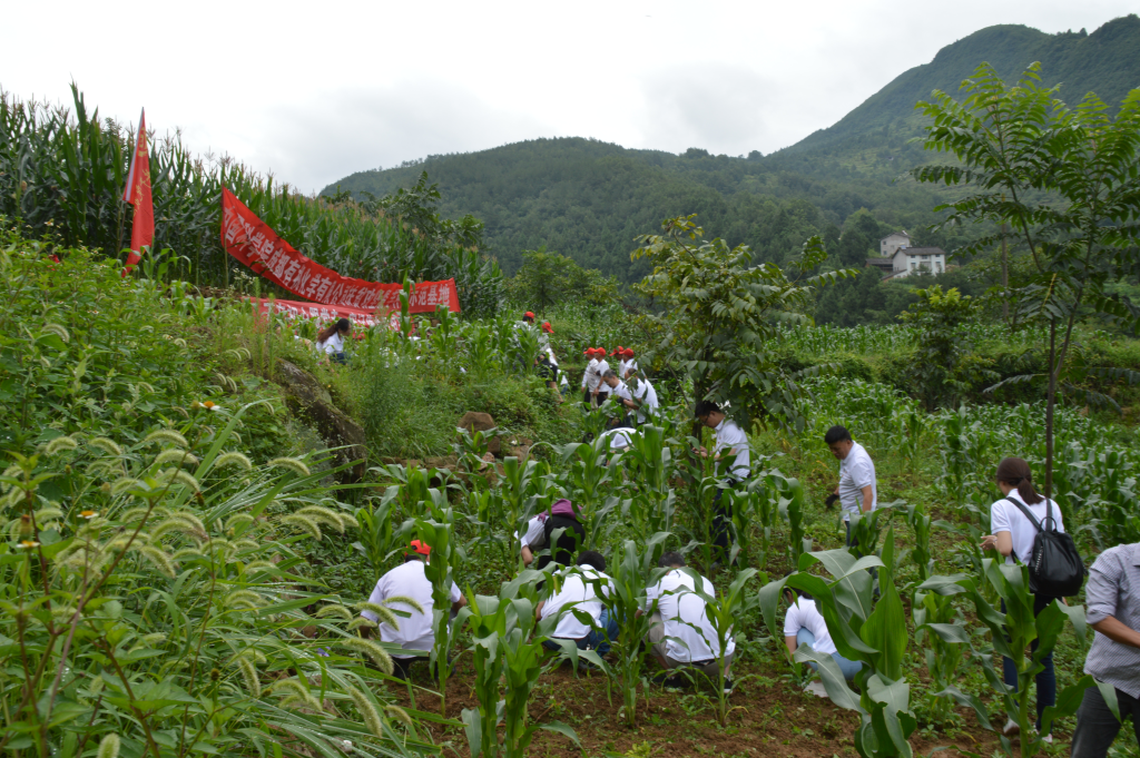 公司管理黨支部赴廣元市開展“不忘初心、牢記使命”主題黨日活動暨扶貧攻堅黨建共建活動 公司管理黨支部赴廣元市開展“不忘初心、牢記使命”主題黨日活動暨扶貧攻堅黨建共建活動